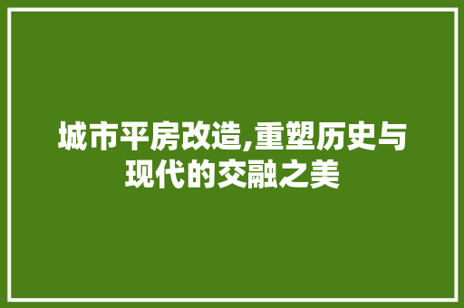 城市平房改造,重塑历史与现代的交融之美