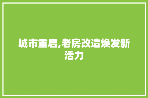 城市重启,老房改造焕发新活力