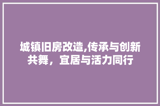 城镇旧房改造,传承与创新共舞，宜居与活力同行