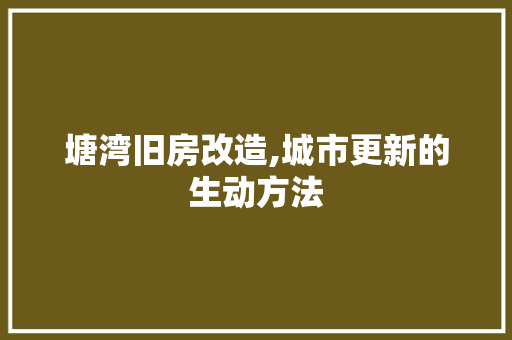 塘湾旧房改造,城市更新的生动方法
