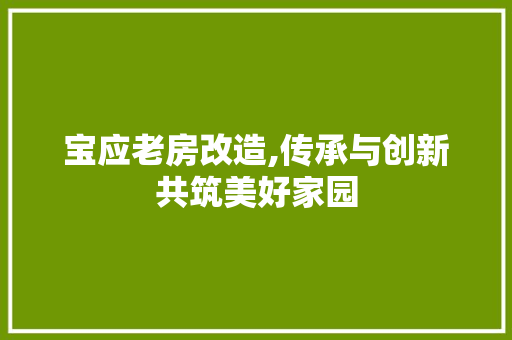 宝应老房改造,传承与创新共筑美好家园