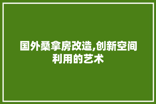 国外桑拿房改造,创新空间利用的艺术