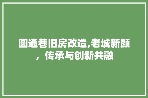 圆通巷旧房改造,老城新颜，传承与创新共融