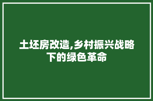 土坯房改造,乡村振兴战略下的绿色革命