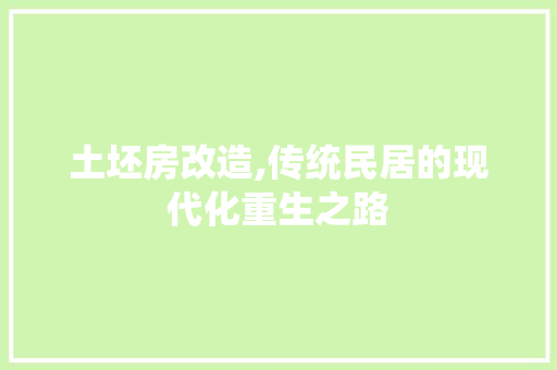 土坯房改造,传统民居的现代化重生之路