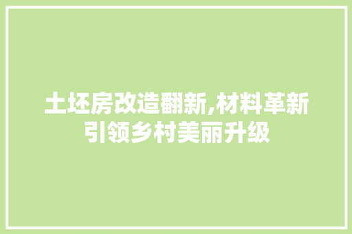 土坯房改造翻新,材料革新引领乡村美丽升级