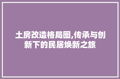 土房改造格局图,传承与创新下的民居焕新之旅