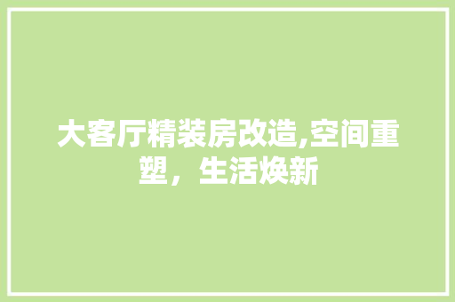 大客厅精装房改造,空间重塑，生活焕新