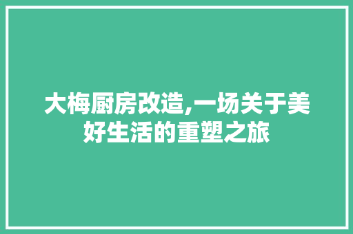 大梅厨房改造,一场关于美好生活的重塑之旅