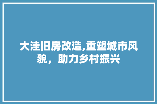 大洼旧房改造,重塑城市风貌，助力乡村振兴