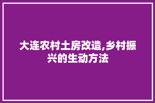 大连农村土房改造,乡村振兴的生动方法
