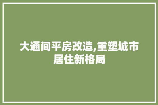 大通间平房改造,重塑城市居住新格局