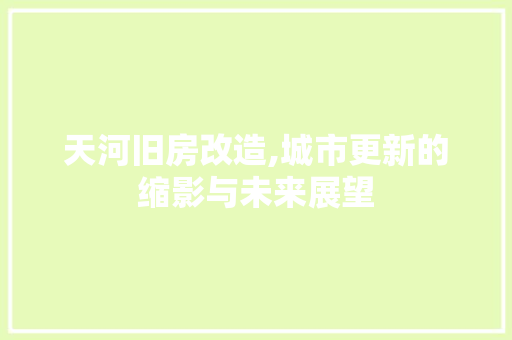 天河旧房改造,城市更新的缩影与未来展望