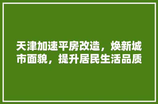 天津加速平房改造，焕新城市面貌，提升居民生活品质