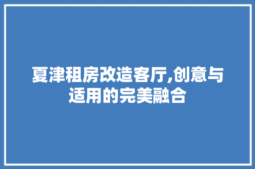 夏津租房改造客厅,创意与适用的完美融合