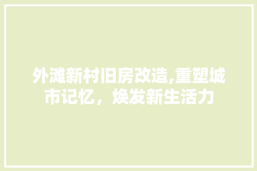 外滩新村旧房改造,重塑城市记忆，焕发新生活力