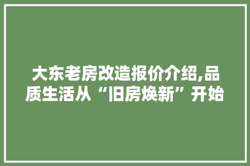 大东老房改造报价介绍,品质生活从“旧房焕新”开始