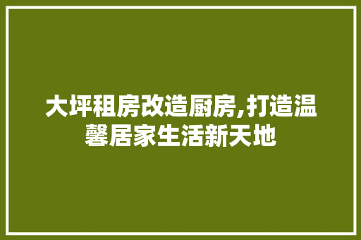 大坪租房改造厨房,打造温馨居家生活新天地