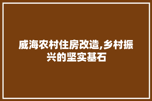 威海农村住房改造,乡村振兴的坚实基石