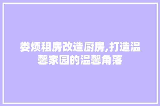 娄烦租房改造厨房,打造温馨家园的温馨角落