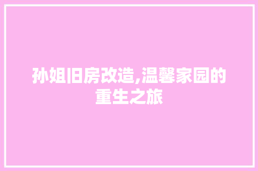 孙姐旧房改造,温馨家园的重生之旅
