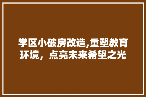 学区小破房改造,重塑教育环境，点亮未来希望之光