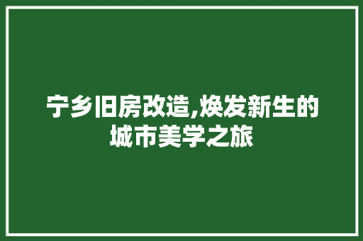宁乡旧房改造,焕发新生的城市美学之旅