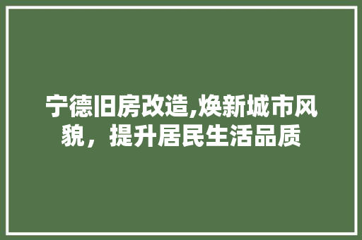 宁德旧房改造,焕新城市风貌，提升居民生活品质