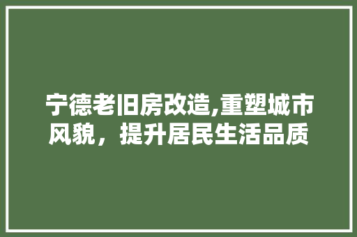 宁德老旧房改造,重塑城市风貌，提升居民生活品质