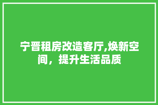 宁晋租房改造客厅,焕新空间，提升生活品质