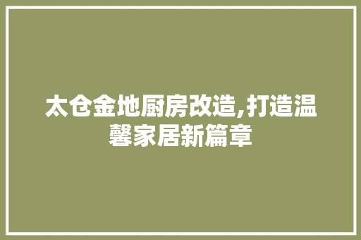 太仓金地厨房改造,打造温馨家居新篇章