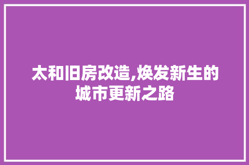 太和旧房改造,焕发新生的城市更新之路