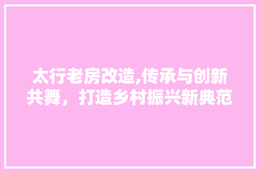 太行老房改造,传承与创新共舞，打造乡村振兴新典范
