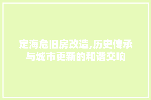 定海危旧房改造,历史传承与城市更新的和谐交响