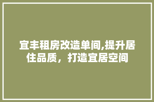 宜丰租房改造单间,提升居住品质，打造宜居空间