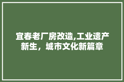 宜春老厂房改造,工业遗产新生，城市文化新篇章
