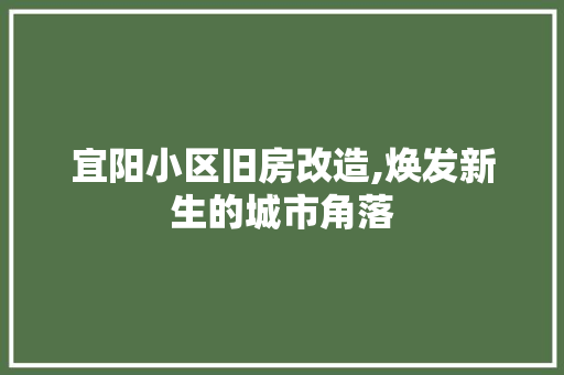宜阳小区旧房改造,焕发新生的城市角落