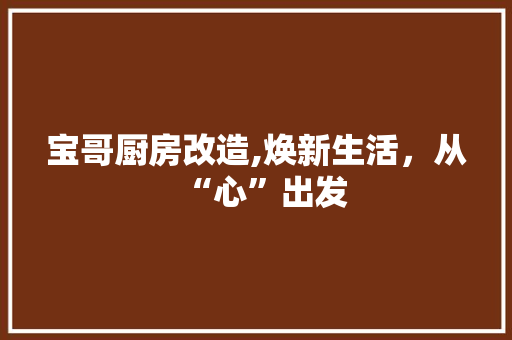 宝哥厨房改造,焕新生活，从“心”出发