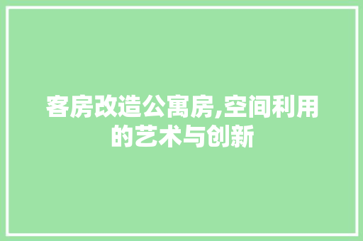 客房改造公寓房,空间利用的艺术与创新