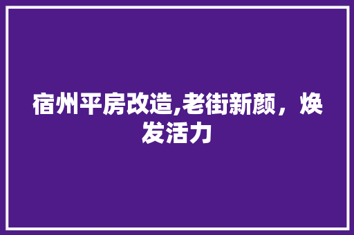 宿州平房改造,老街新颜，焕发活力