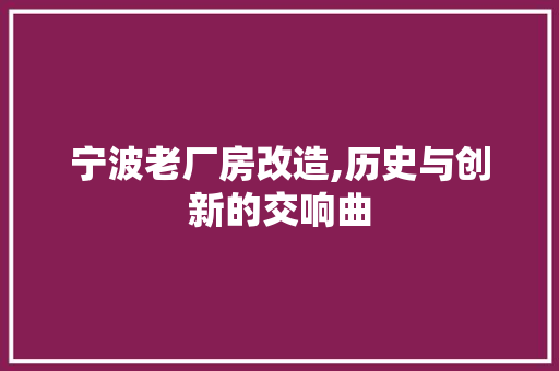 宁波老厂房改造,历史与创新的交响曲