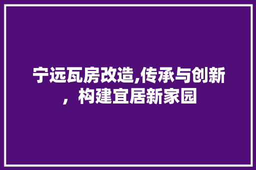 宁远瓦房改造,传承与创新，构建宜居新家园