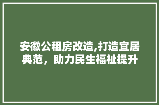 安徽公租房改造,打造宜居典范，助力民生福祉提升