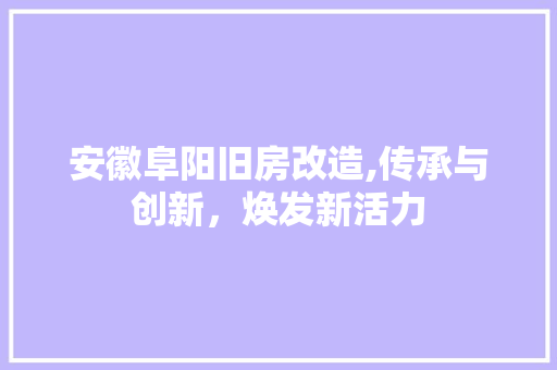 安徽阜阳旧房改造,传承与创新，焕发新活力