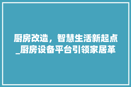 厨房改造，智慧生活新起点_厨房设备平台引领家居革命