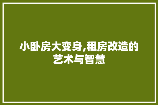 小卧房大变身,租房改造的艺术与智慧
