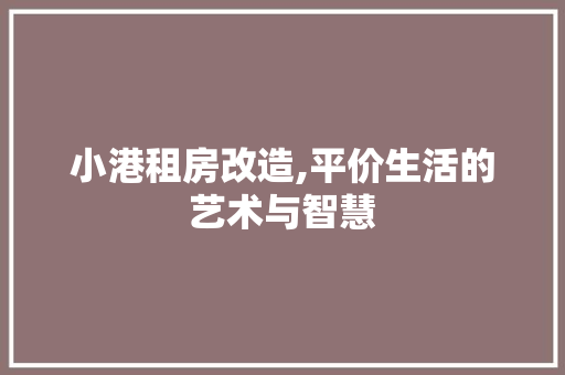 小港租房改造,平价生活的艺术与智慧