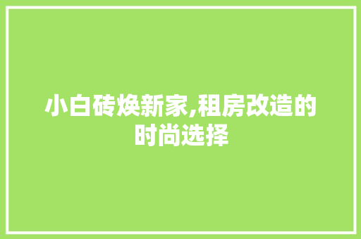 小白砖焕新家,租房改造的时尚选择