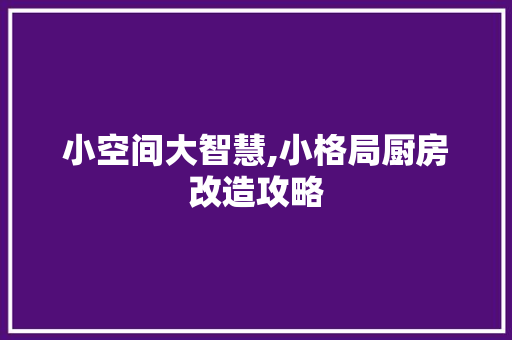小空间大智慧,小格局厨房改造攻略