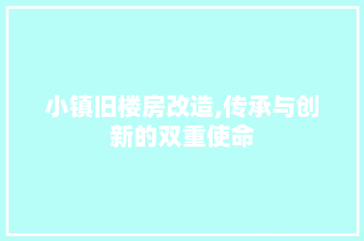 小镇旧楼房改造,传承与创新的双重使命